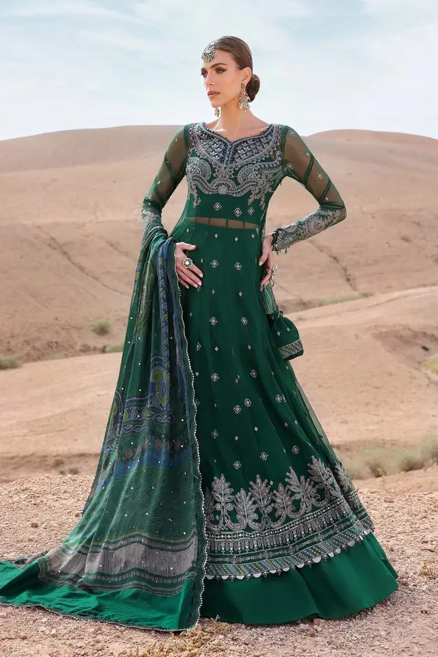 3 Piece Unstitched Embroidered Net Suit D-2507-A luxury lawn full-length primary view