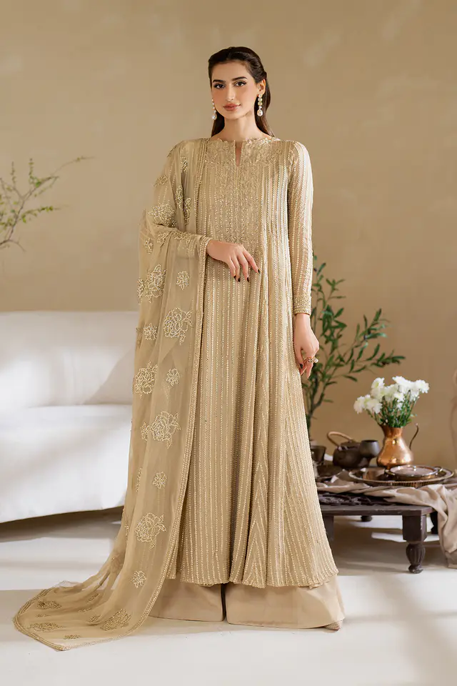 Embroidered Chiffon full-length primary view
