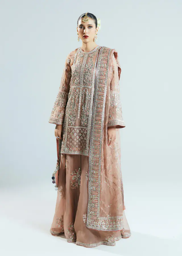 Dune nude organza short shirt and sharara with silver-toned handwork, full-length front view