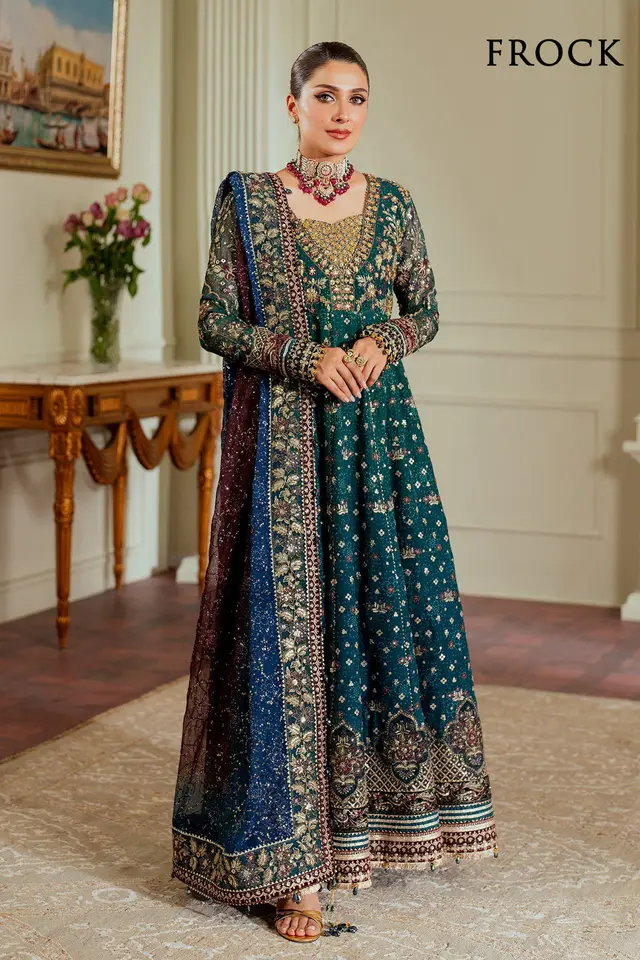 Embroidered Chiffon full-length primary view