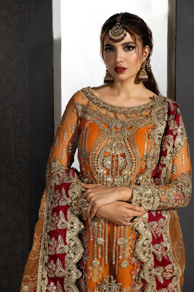 IB-42 Sofi orange and maroon embroidered formal primary view
