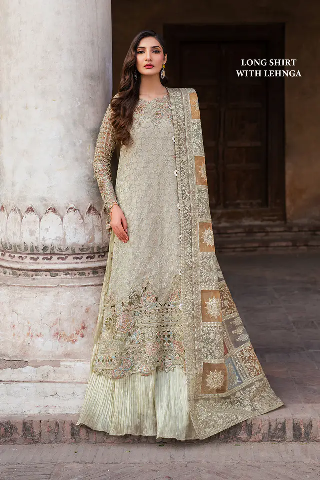 Embroidered Chiffon full-length primary view