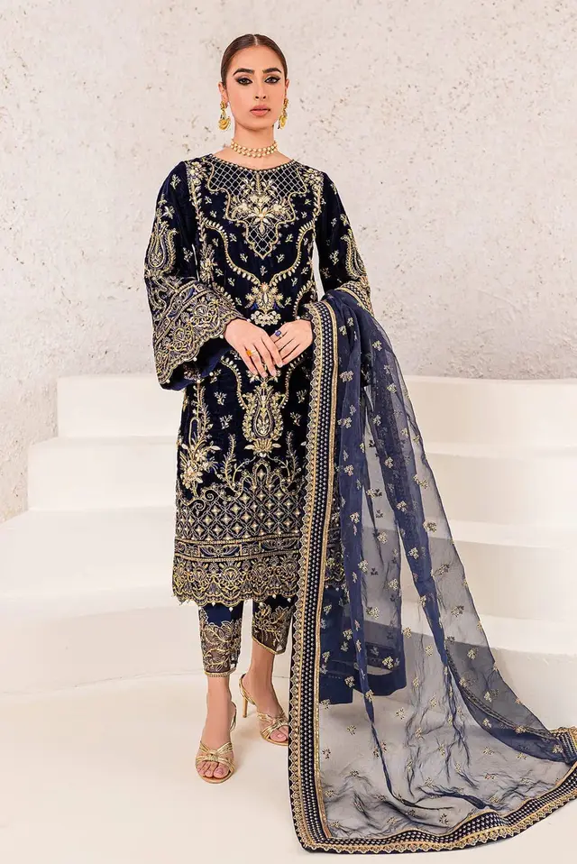 Insiyah Velvet collection full-length primary view