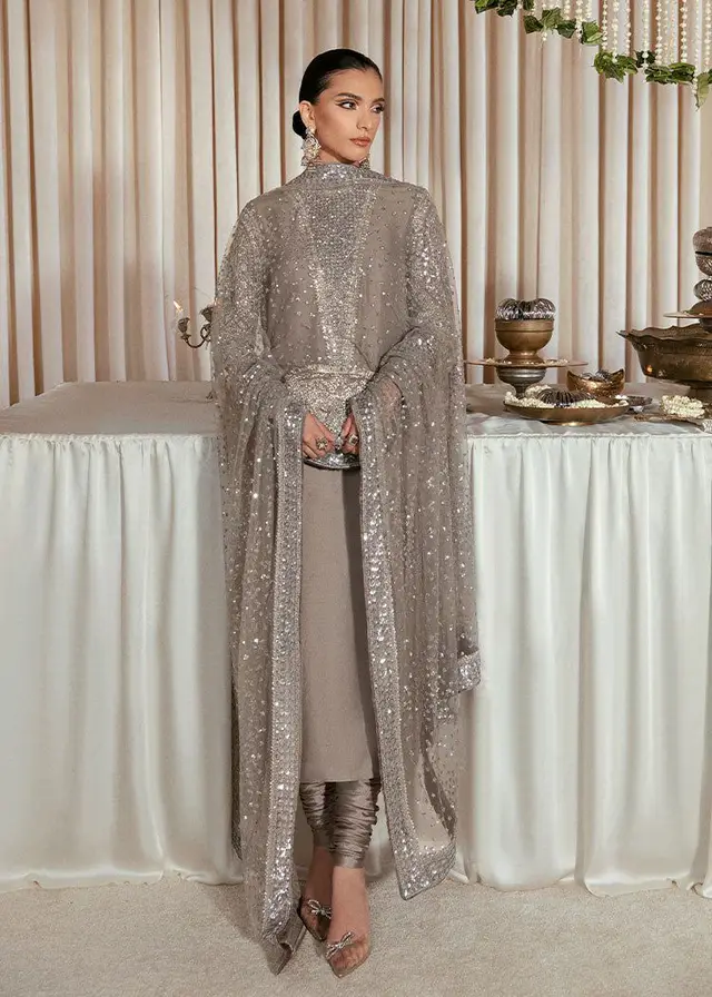 Lucent grey raw-silk formal shirt with silver embellishment and net dupatta, full-length view
