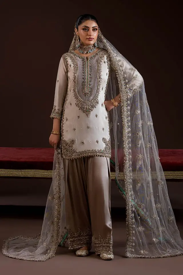 Pure Glass Silk Dress with Zardozi Work full-length primary view