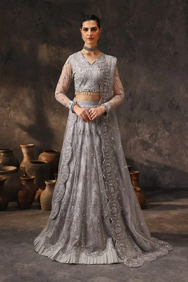 Rang-e-Barq full-length primary view