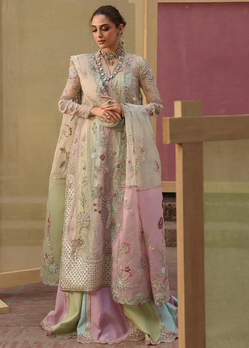 Crimson – Rangoli – full outfit view