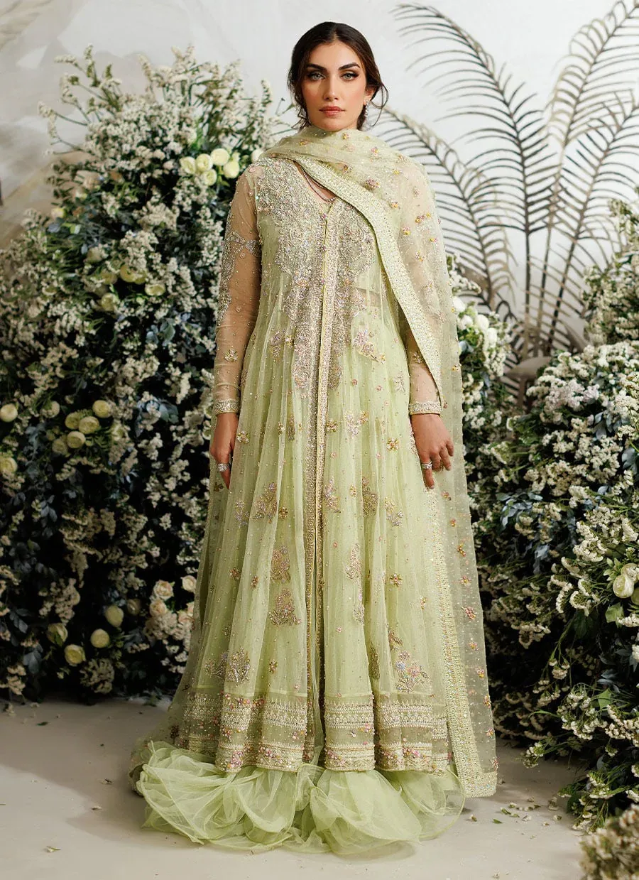 Farah Talib Aziz – Eliza Kiwi — full outfit view