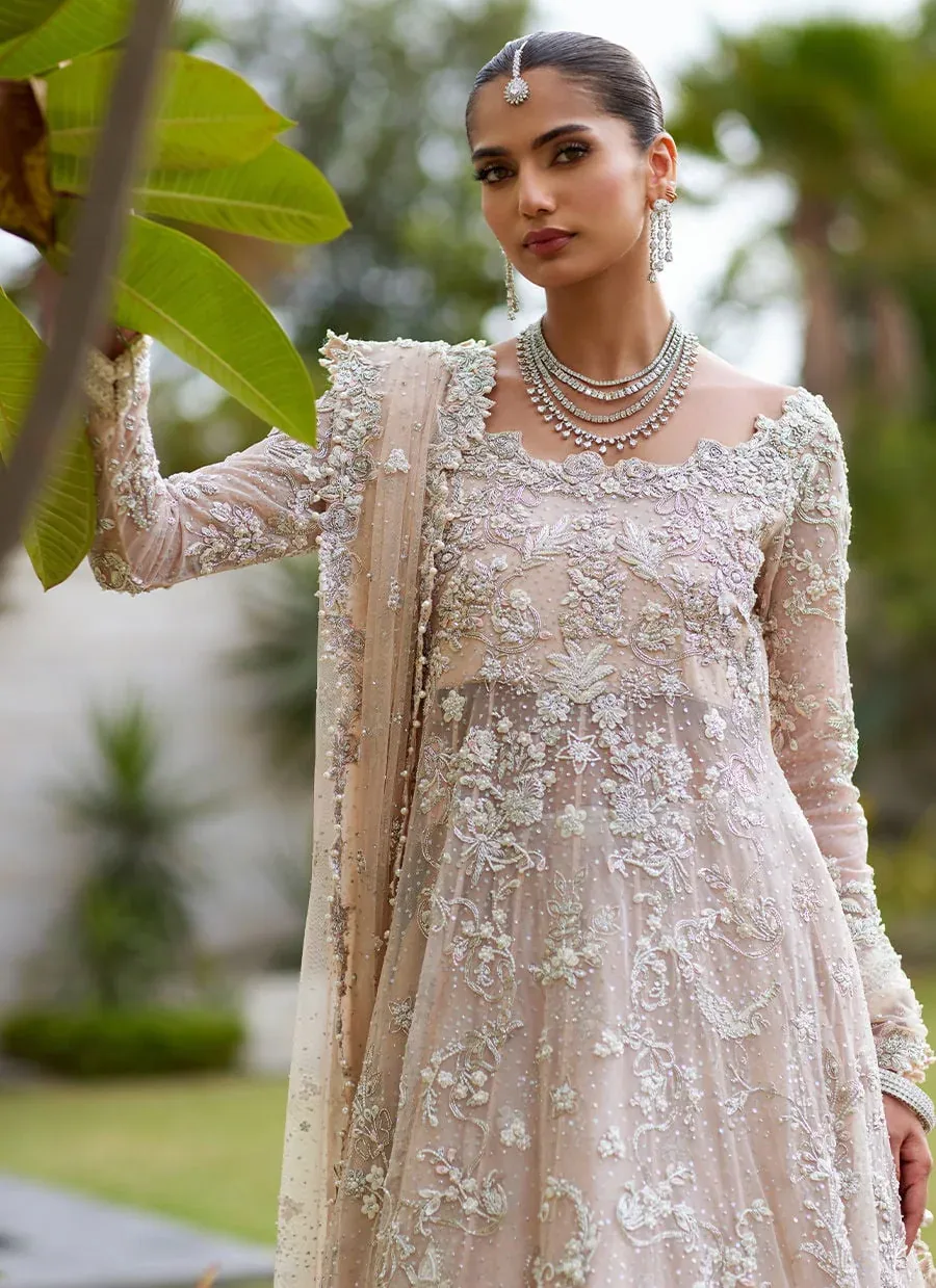 Farah Talib Aziz – Shahnoor Pale Pink — full outfit view