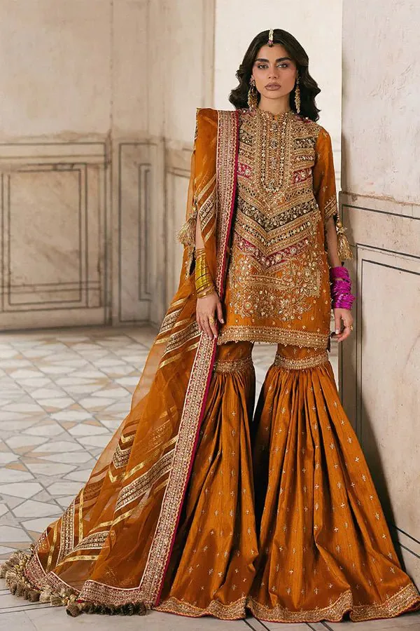 Mohsin Naveed Ranjha (MNR) - Ranjish full-length primary view