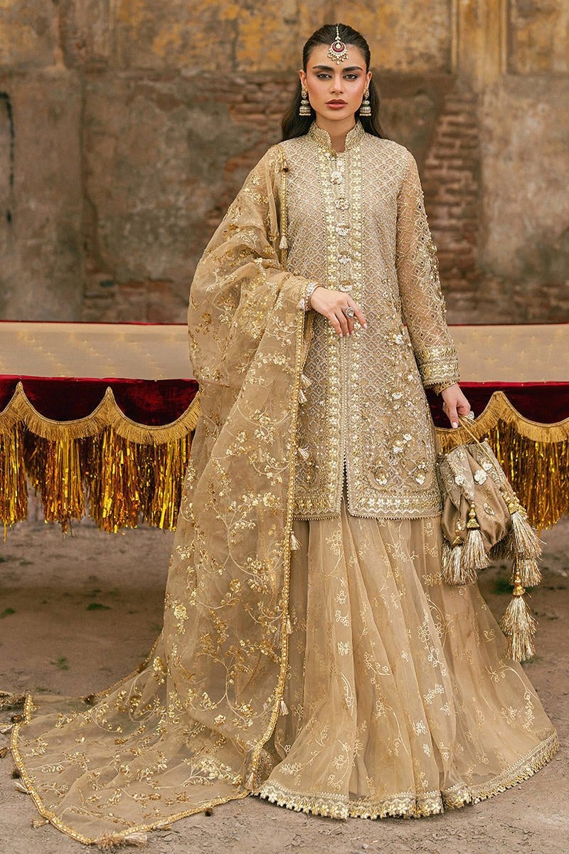 Mohsin Naveed Ranjha (MNR) - Roshni full-length primary view
