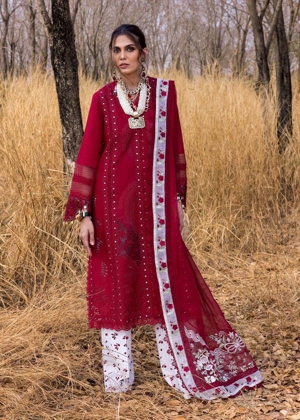 Saira Shakira Shams - A full-length primary view